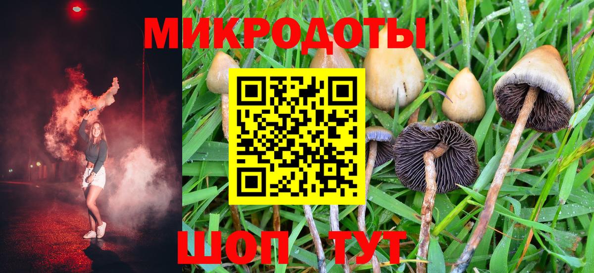 Псилоцибиновые грибы Psilocybe  Вход с VPN  Надым 