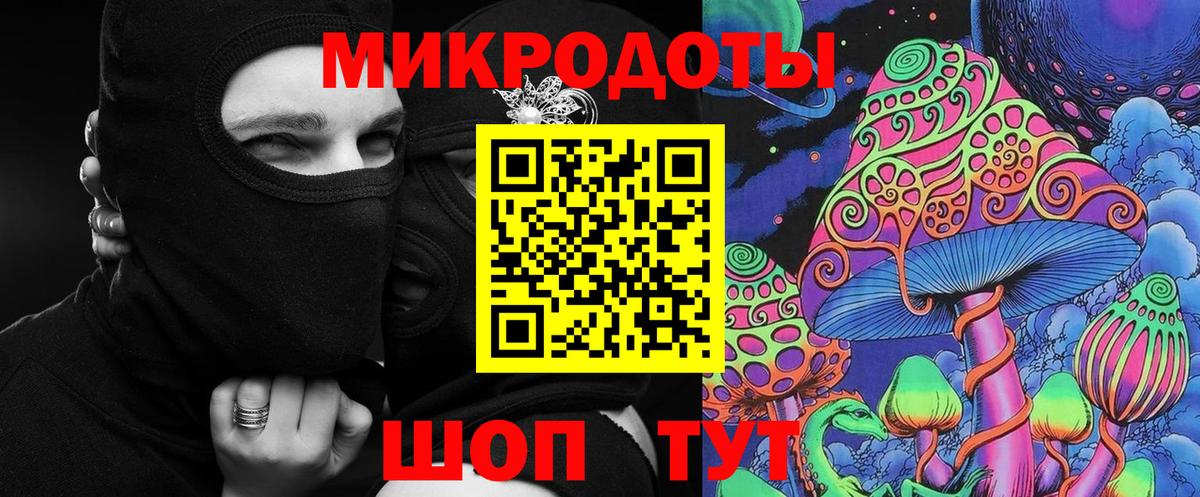 Галлюциногенные грибы Psilocybine cubensis Надым
